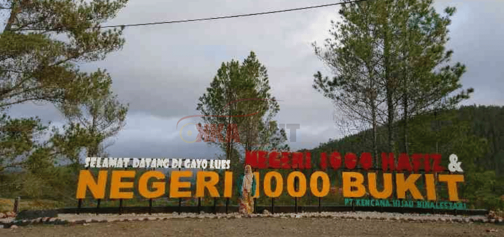 sewa mobil gayo lues